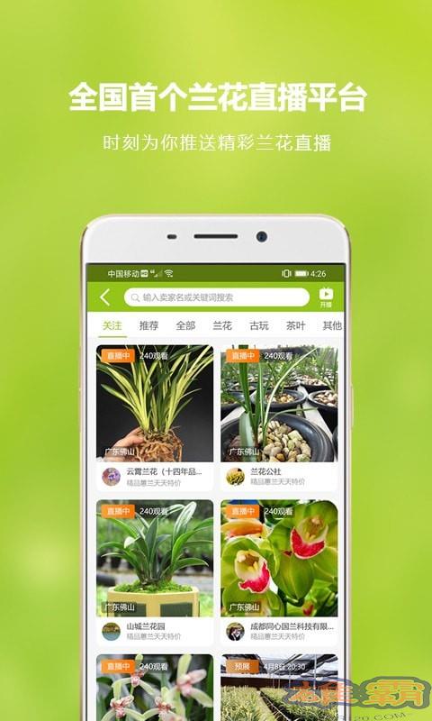 Mạng lưới buôn bán hoa lan Trung Quốc