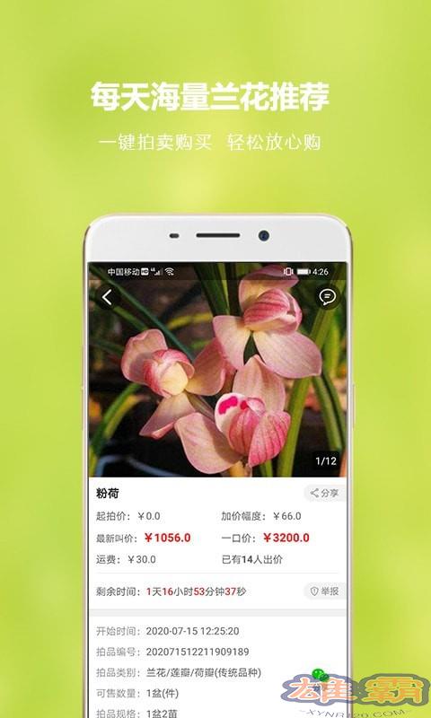 Mạng lưới buôn bán hoa lan Trung Quốc