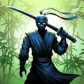 Cuộc đột kích bóng tối của Ninja
